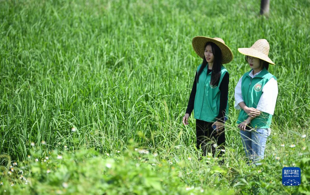 新人注册送38元电子游戏